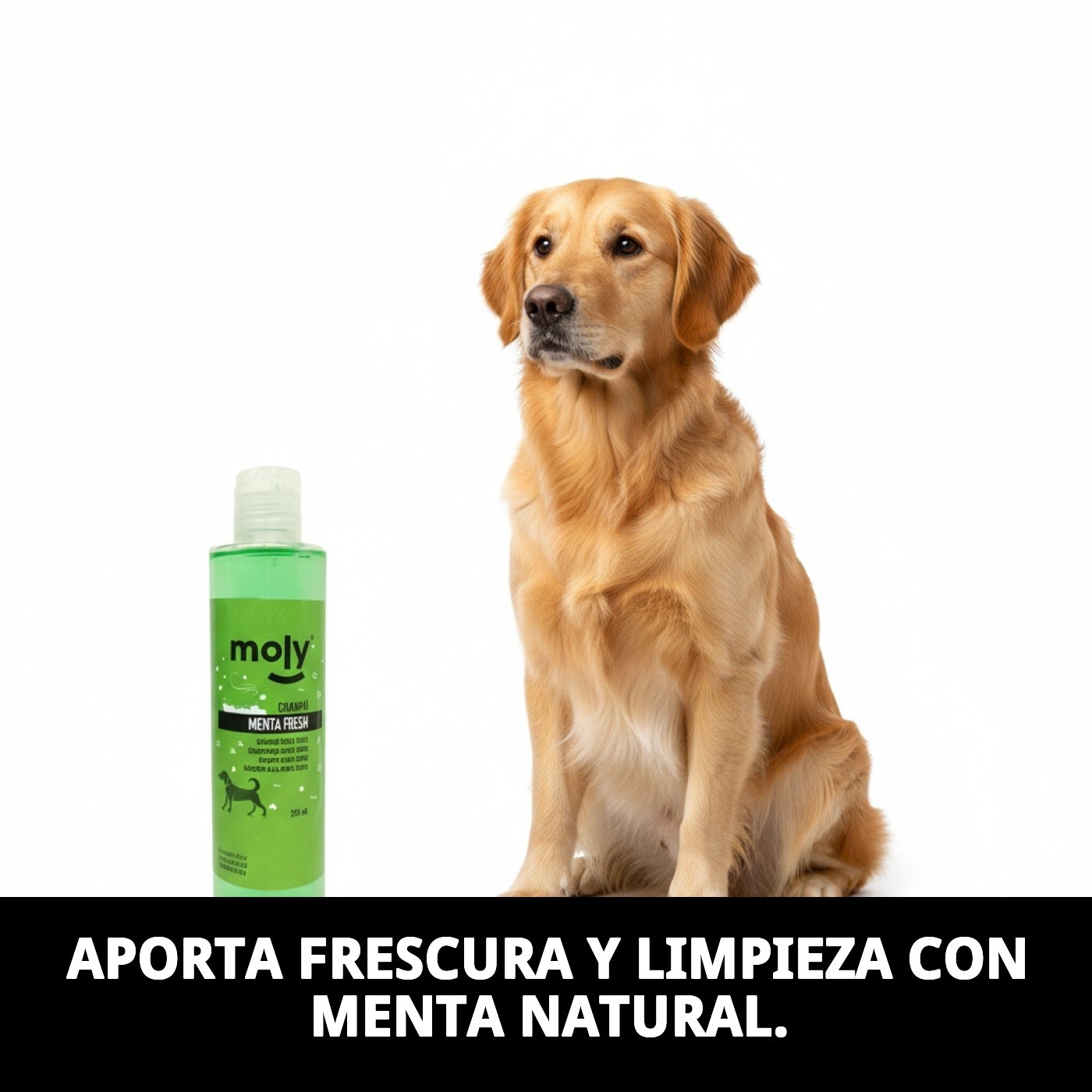 Menta Fresh Shampoo 250 ml — Foto 2