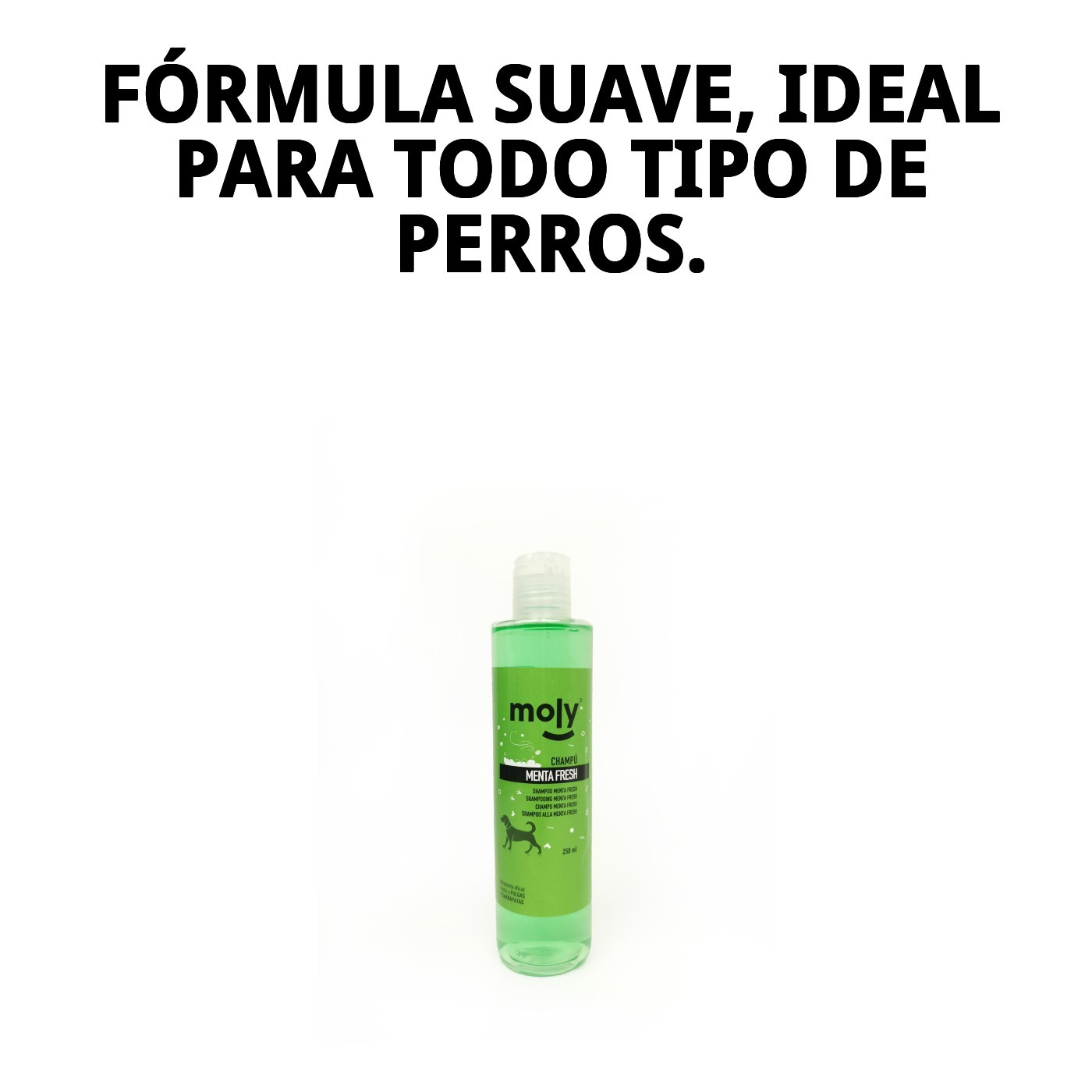 Menta Fresh Shampoo 250 ml — Foto 4