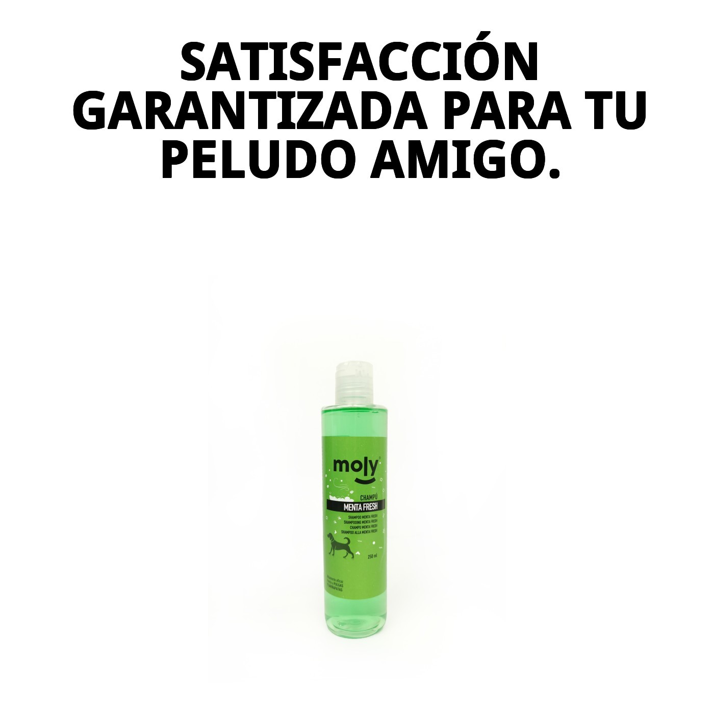 Menta Fresh Shampoo 250 ml — Foto 7