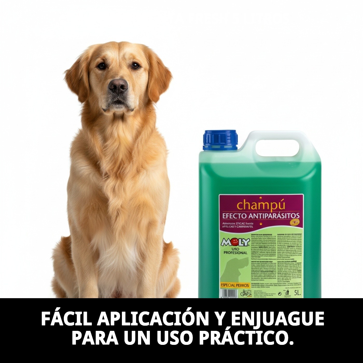 Shampoo Menta Fresh 5L — Foto 6