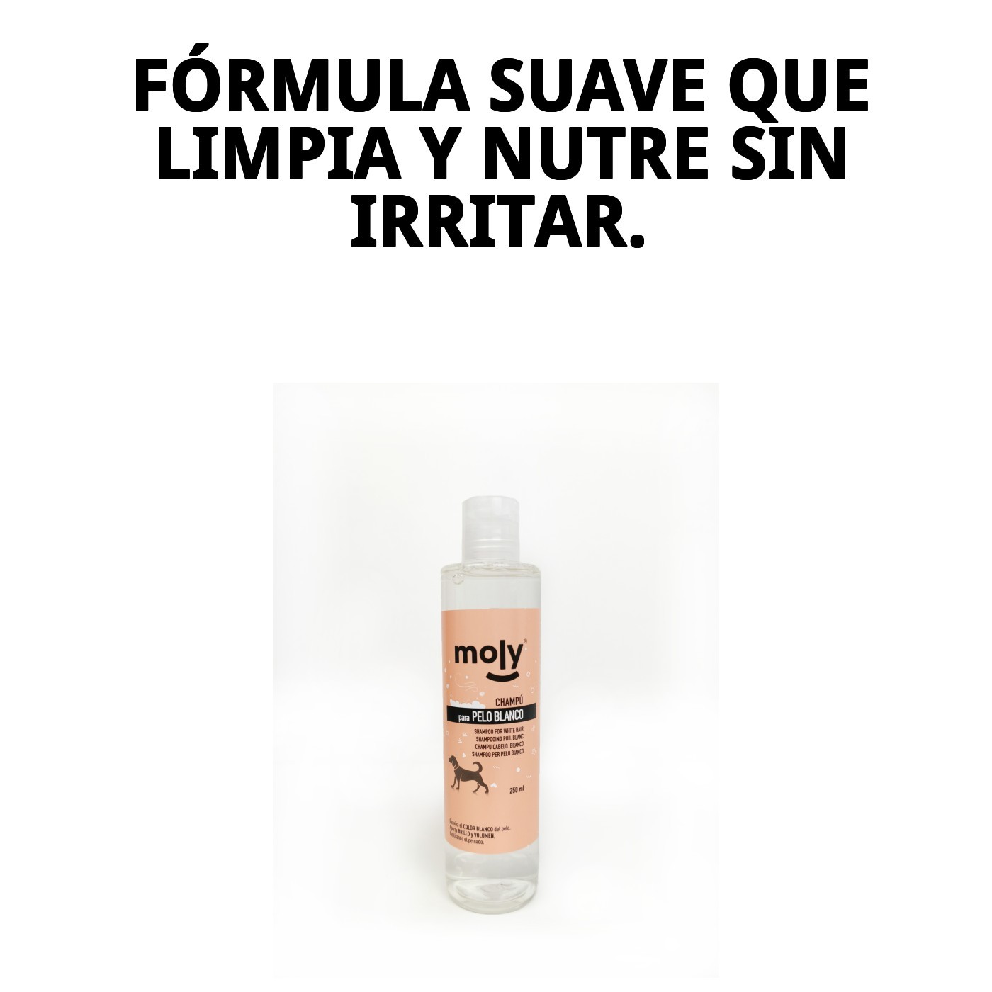 Shampoo für weißes Fell 250ml — Foto 3
