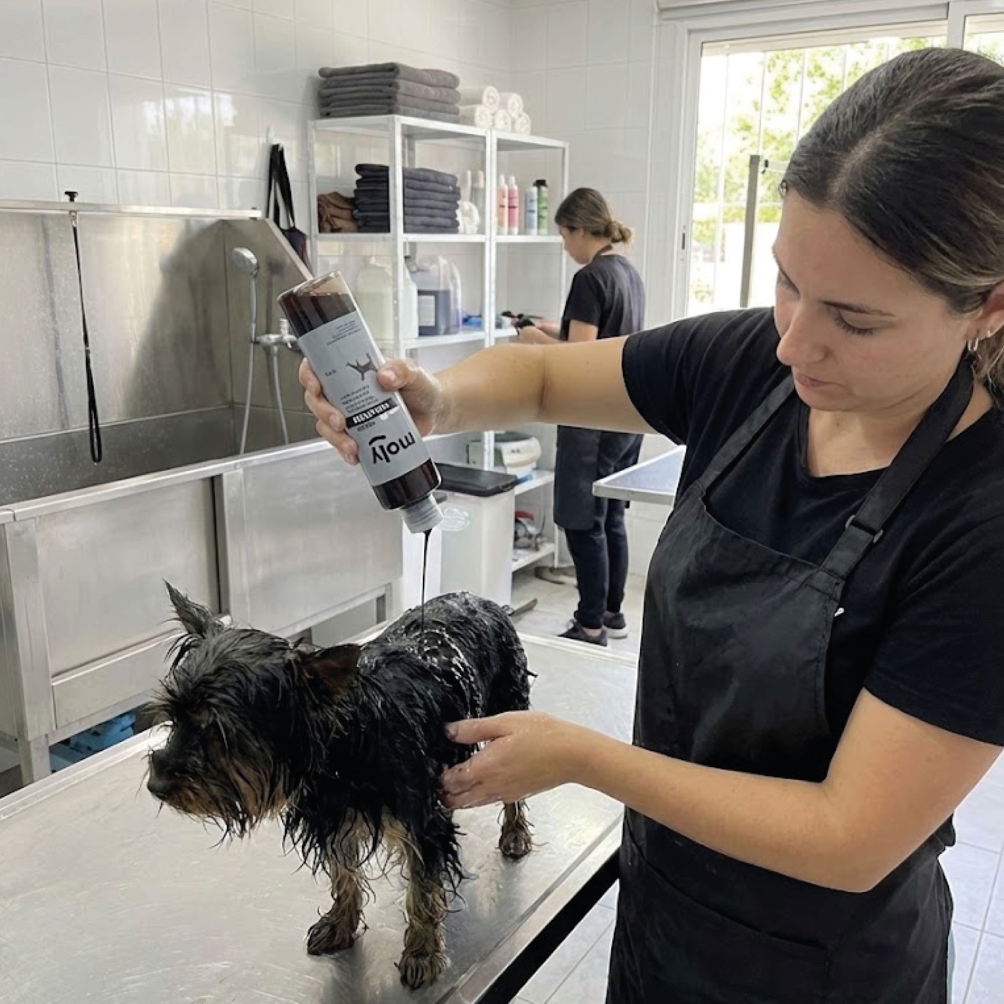 Shampoo für schwarzes Fell 250ml — Foto 2
