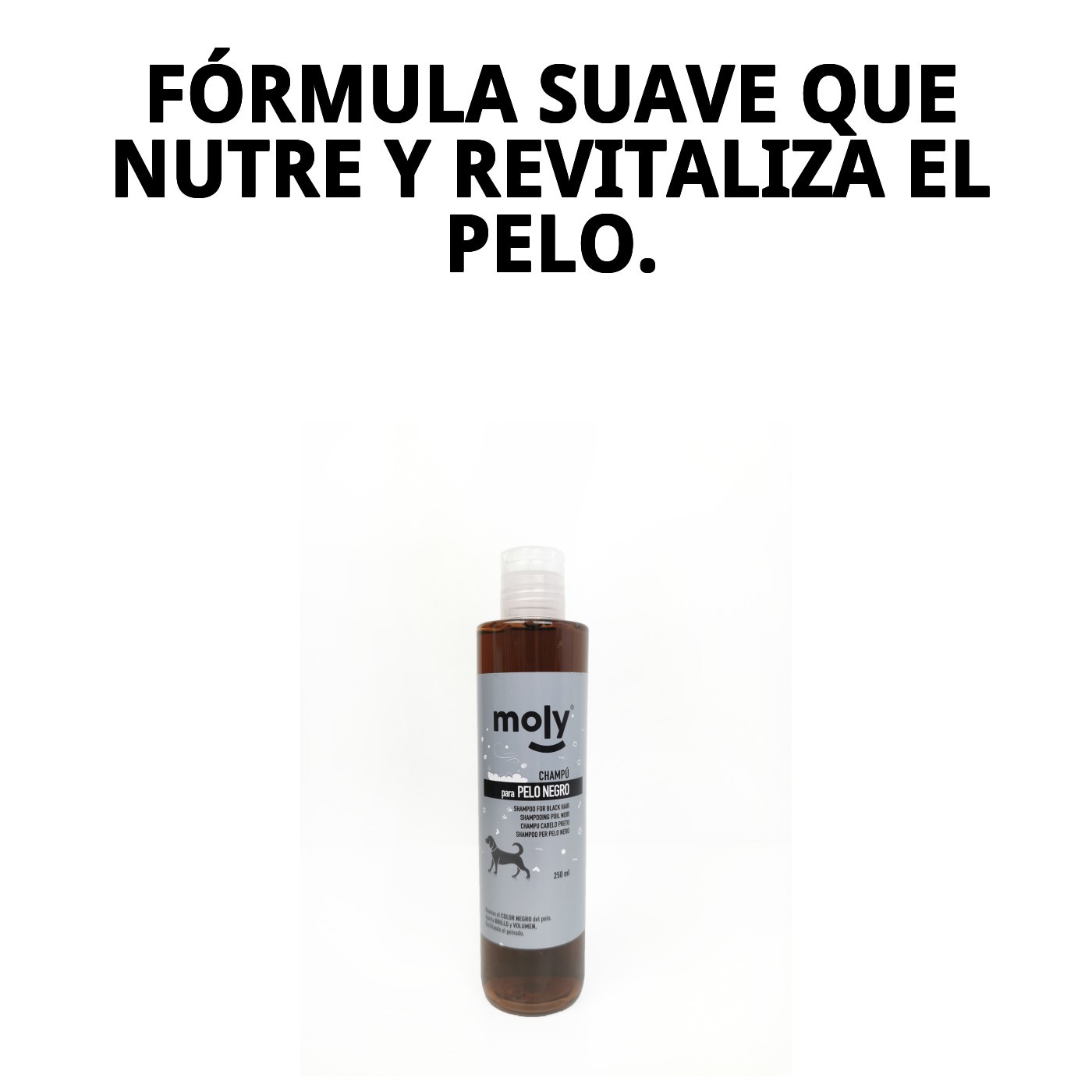 Shampoo für schwarzes Fell 250ml — Foto 4