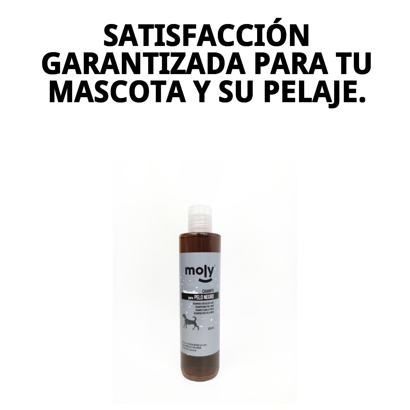 Shampoo für schwarzes Fell 250ml — Foto 7