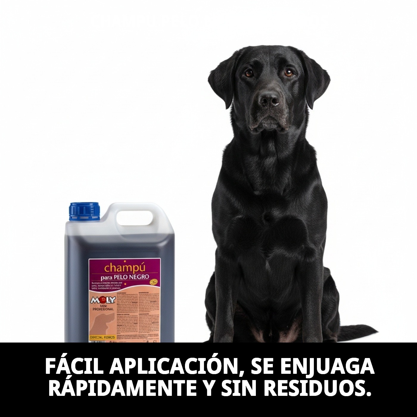 Shampoo für Hunde mit schwarzem Fell 5L — Foto 6