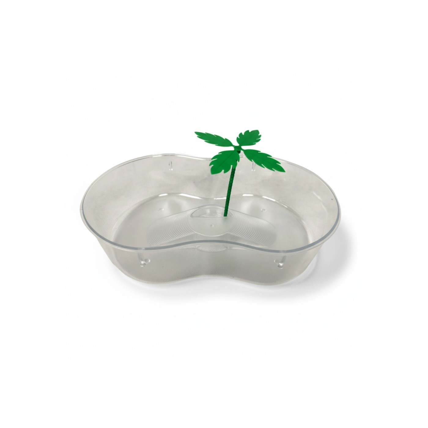 Terrarium aus Kunststoff mit Palme 31x21x7,5 cm