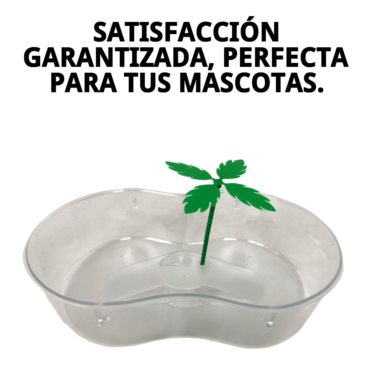 Terrarium aus Kunststoff mit Palme 31x21x7,5 cm — Foto 7