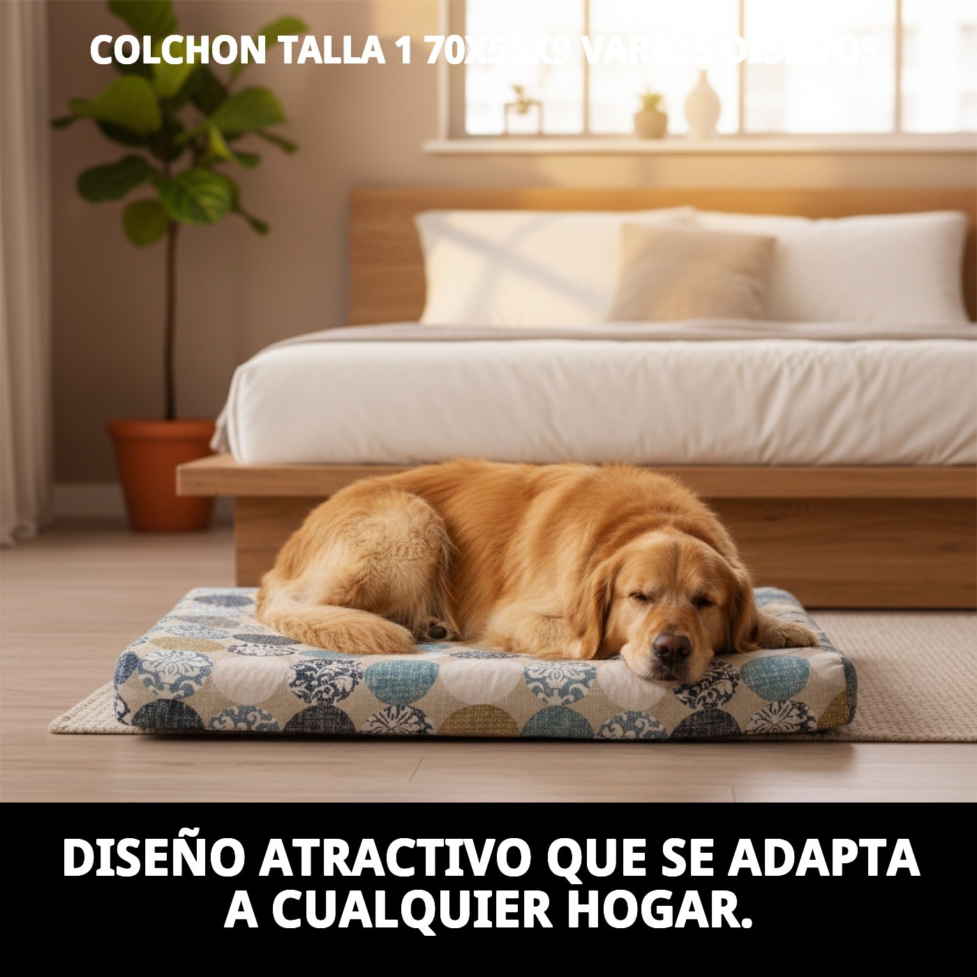 Moly Matratze T1 70x55x9 - Verschiedene Designs — Foto 6