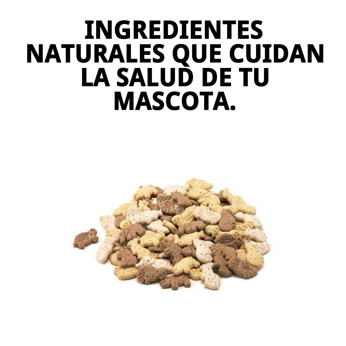 Galletes Mini Mix Granja 2 kg Moly — Foto 5