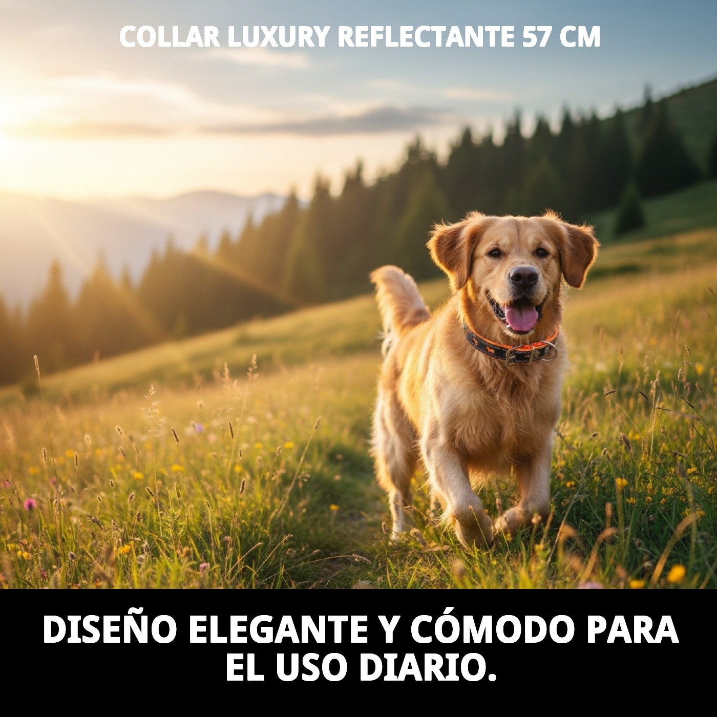 Luxury Reflektierendes Halsband 57 cm — Foto 8