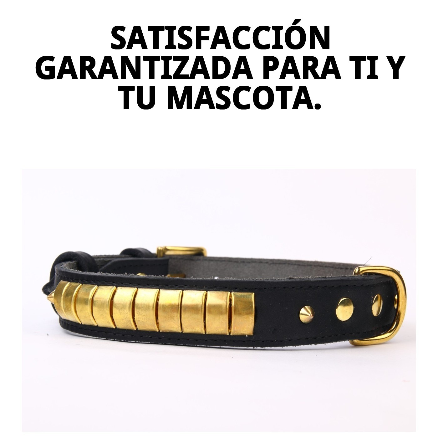 Halsband aus Leder Luxus 65 cm Schwarz und Gold — Foto 8