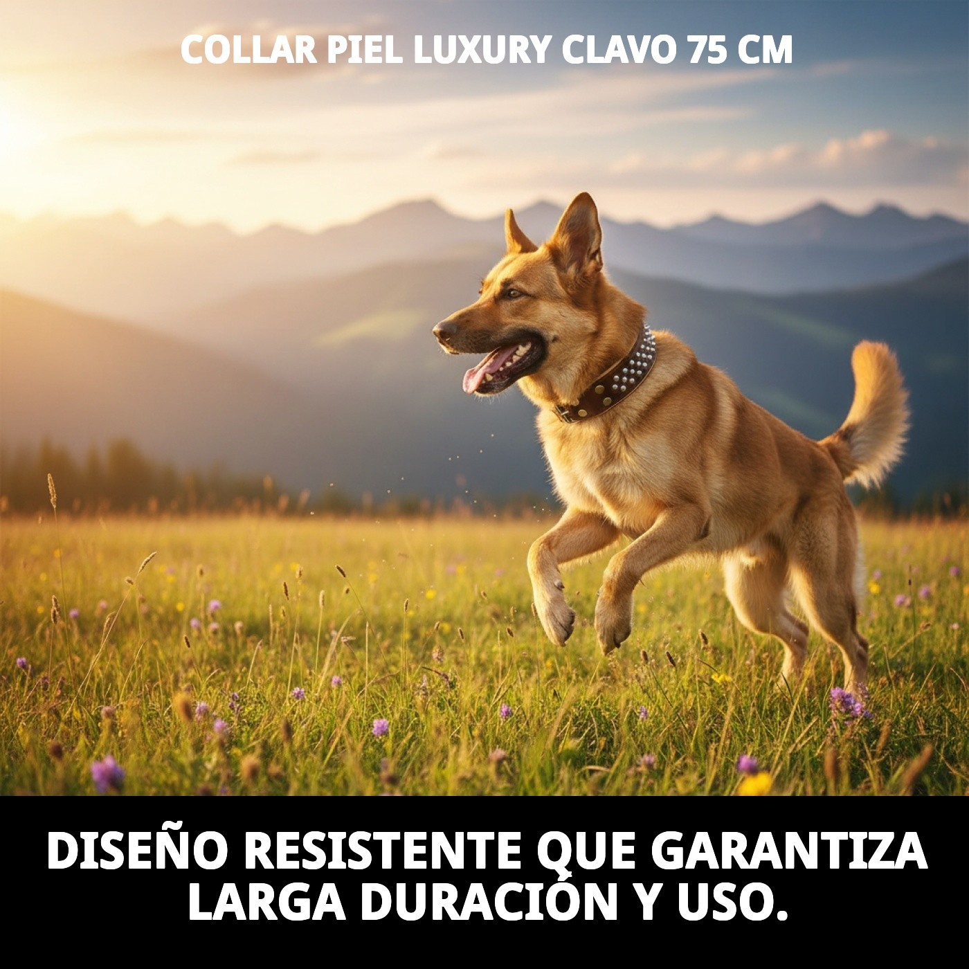 Halsband aus Leder Luxury Stud 75 cm — Foto 7