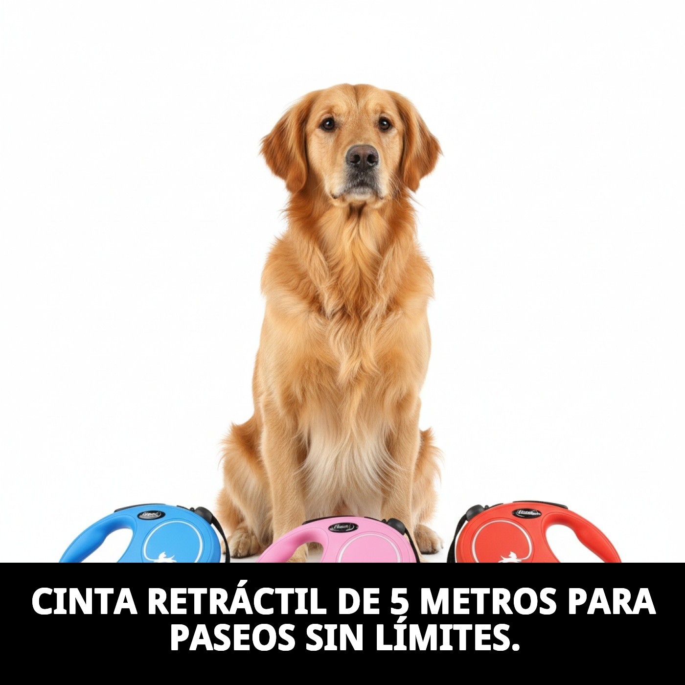 FLEXI NEW CLASSIC S 1-5 m – Leine — Foto 6