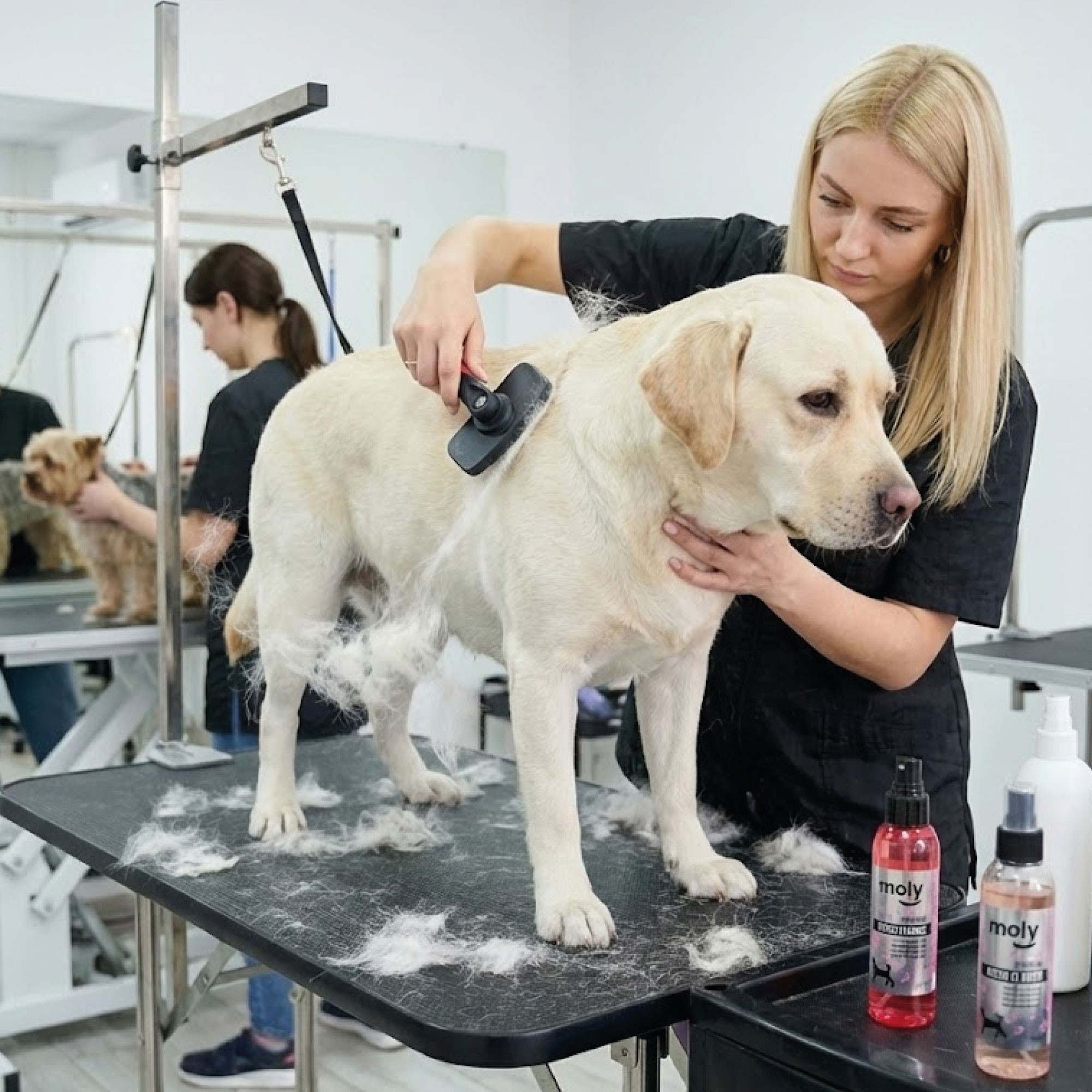 Zupfbürste zum Entfernen von Haaren Medium Moly Confort — Foto 4