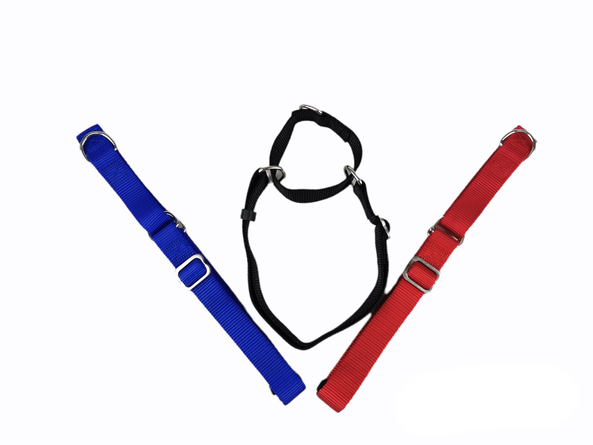 Nylon-Halsband für Erziehung 85x2,5 cm — Foto 3