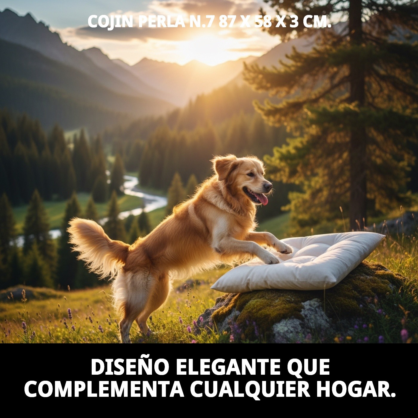 Moly Kissen Perla N.7 87 x 58 x 3 cm — Foto 5