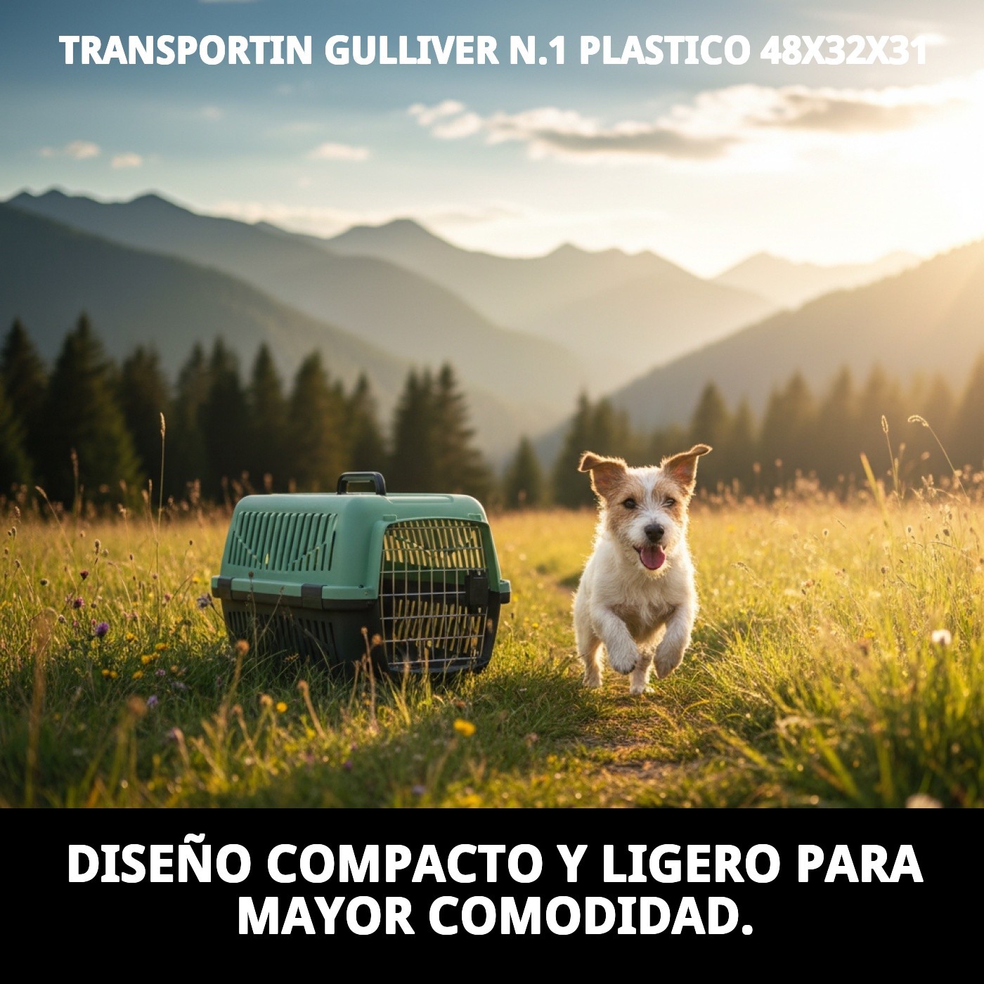 Transportbox Gulliver N°1 aus Kunststoff 48x32x31 cm — Foto 5