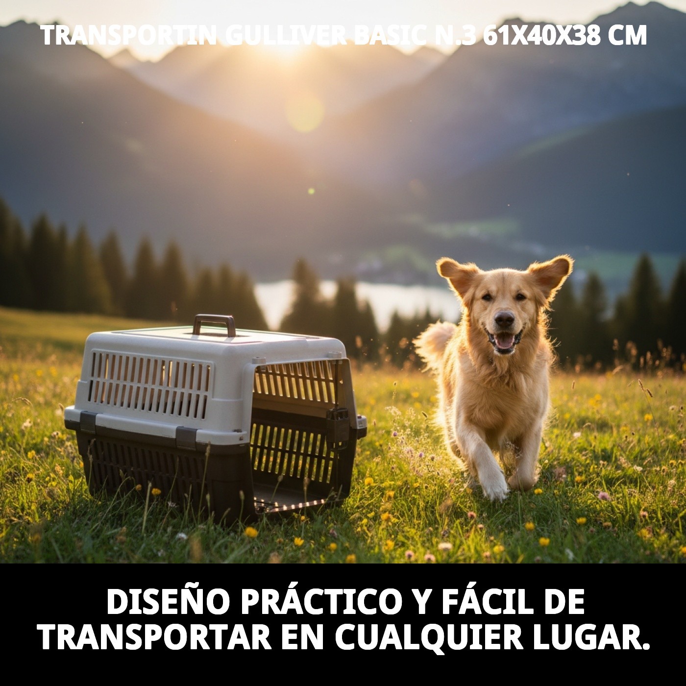 Transporteur Gulliver Basic N.3 61x40x38 CM — Foto 5