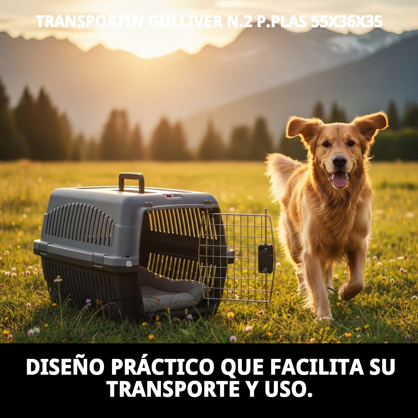 Transporteur Gulliver N°2 aus Kunststoff 55x36x35 — Foto 7