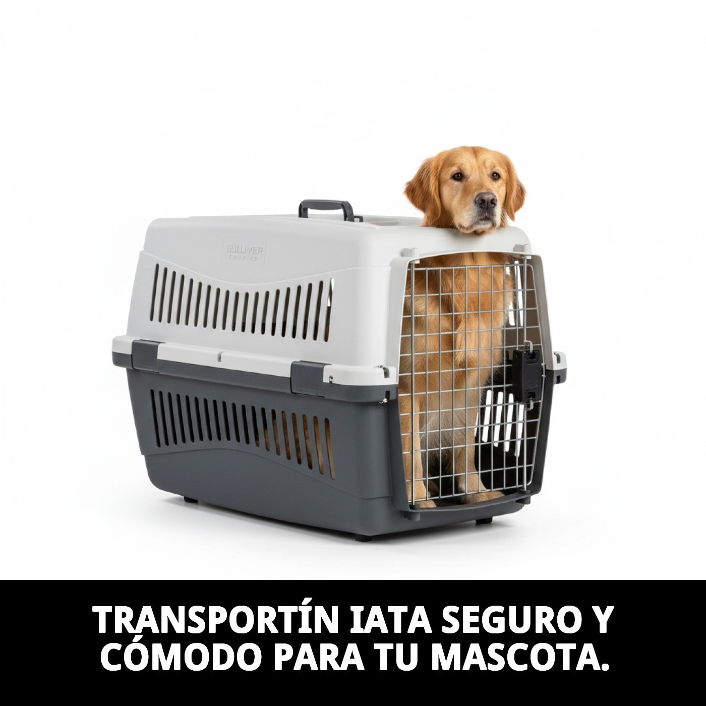 Transporteur Gulliver Touring IATA 80X58X62cm — Foto 2