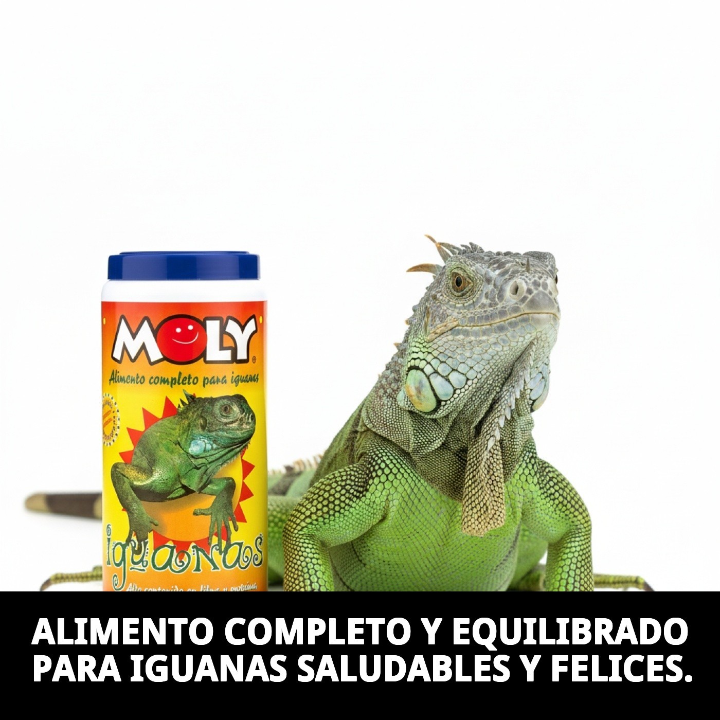 MOLY IGUANAS 360 gr / 1 LITER — Foto 4