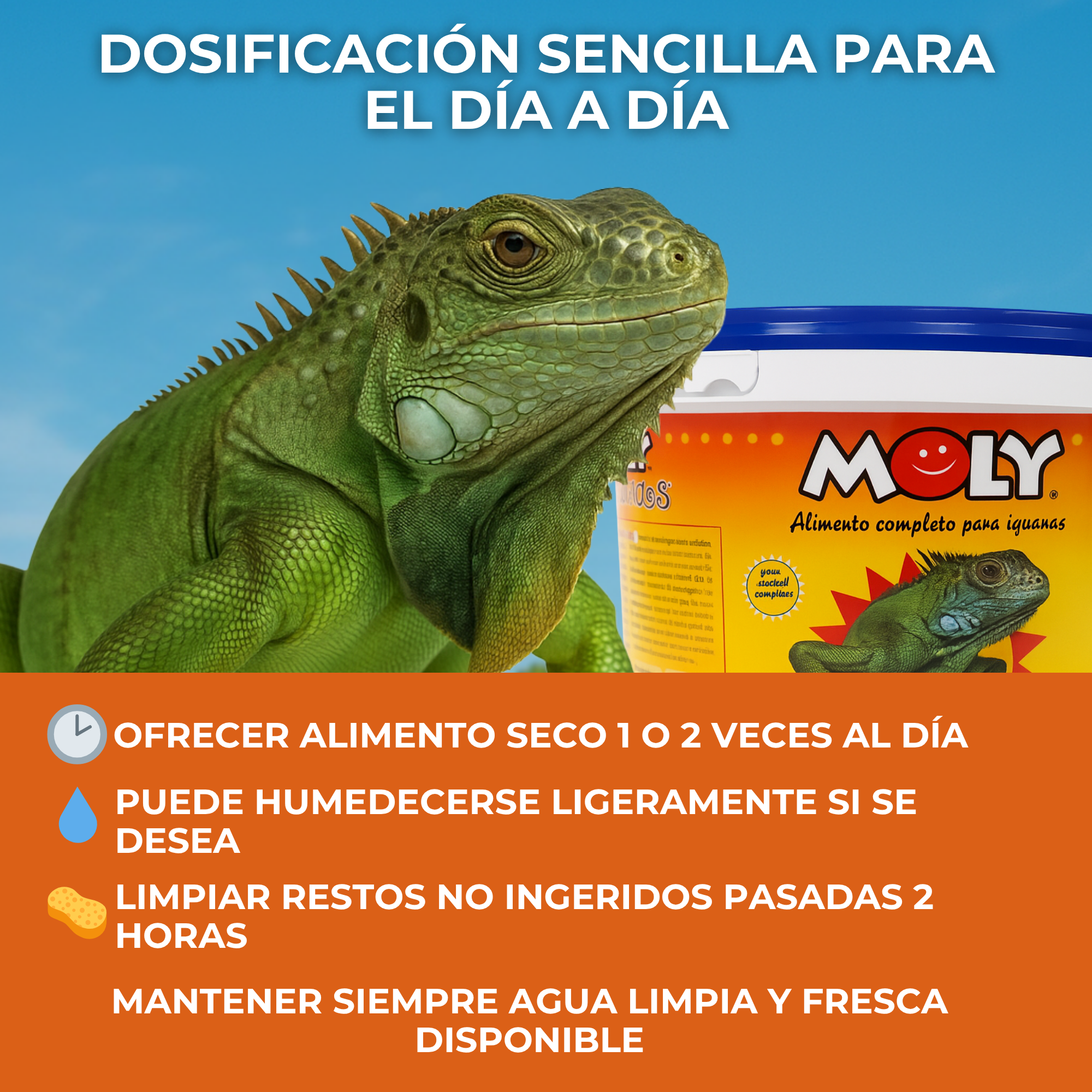 Moly Iguanas 3kg Professionell — Foto 3