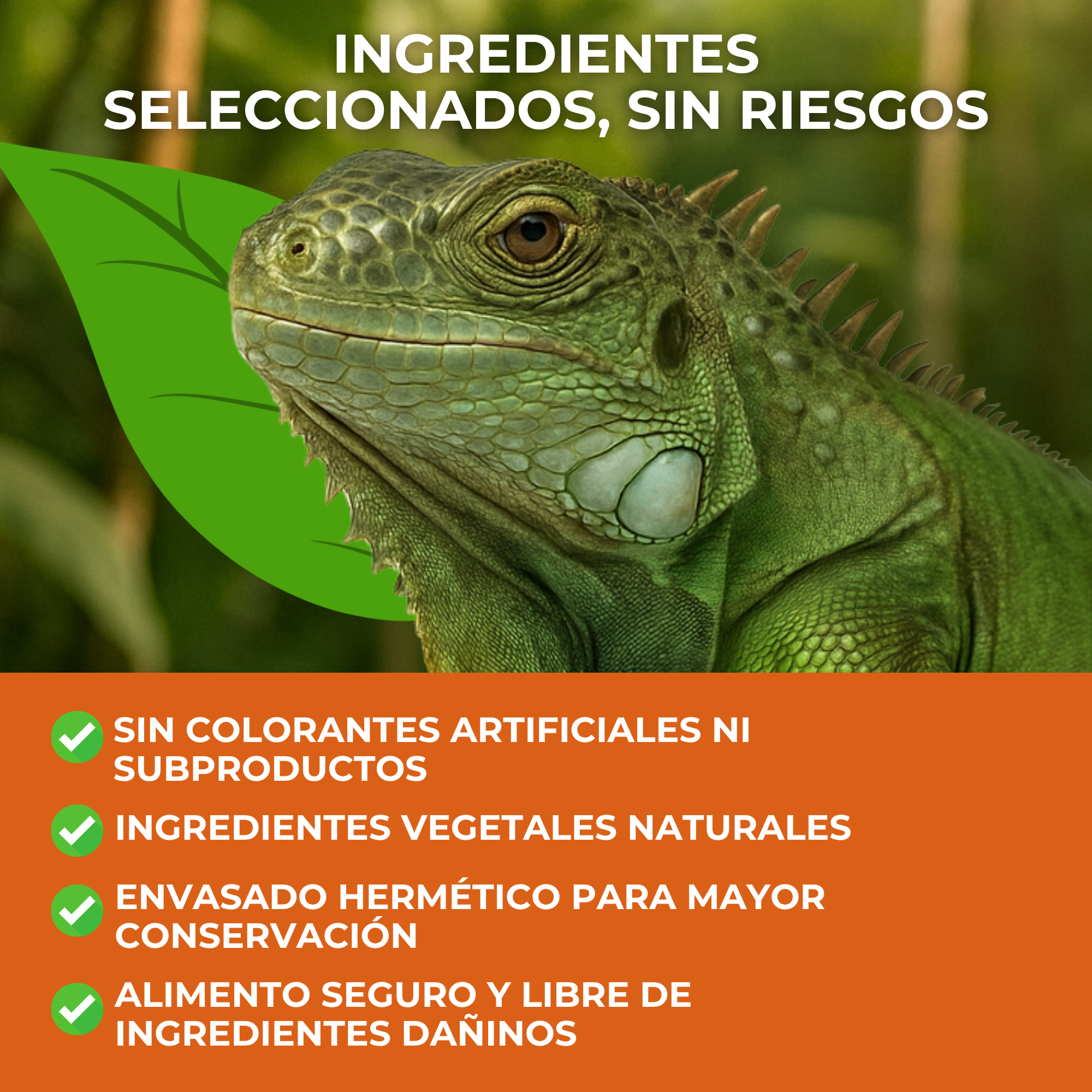 Moly Iguanas 3kg Professionell — Foto 5