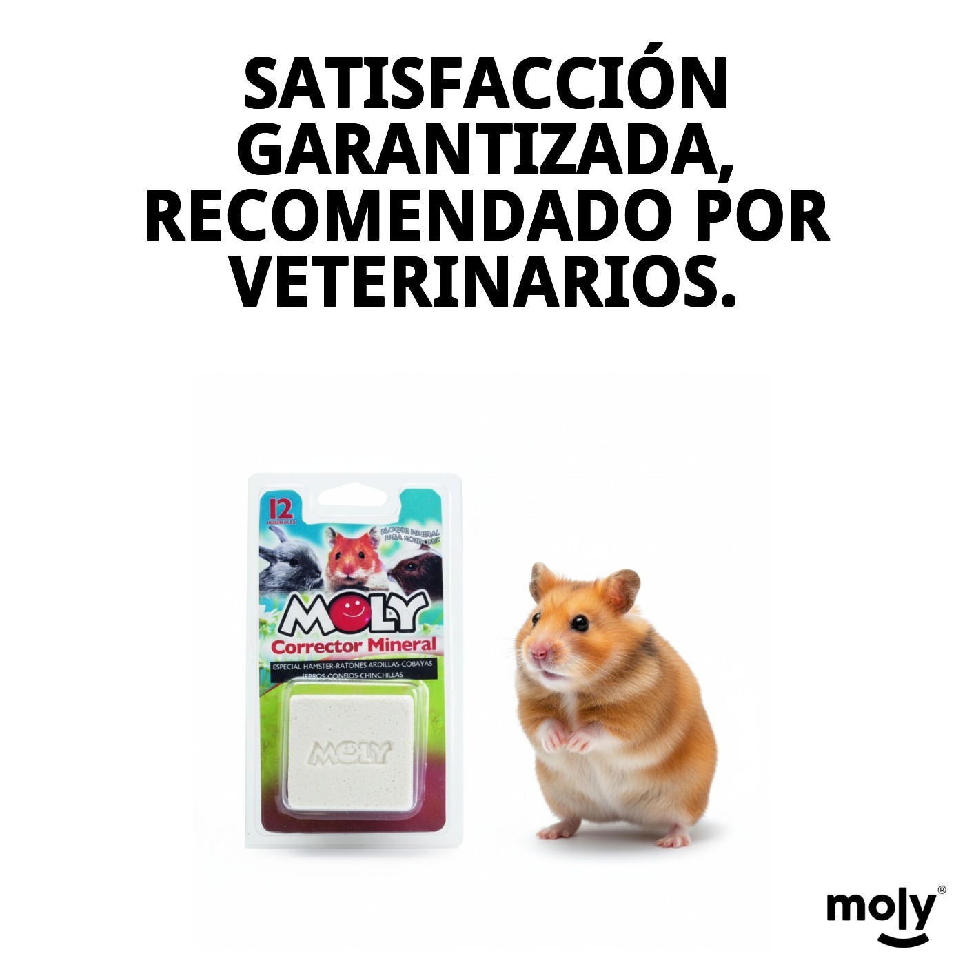 MOLY Calcium für Nager 100g — Foto 13