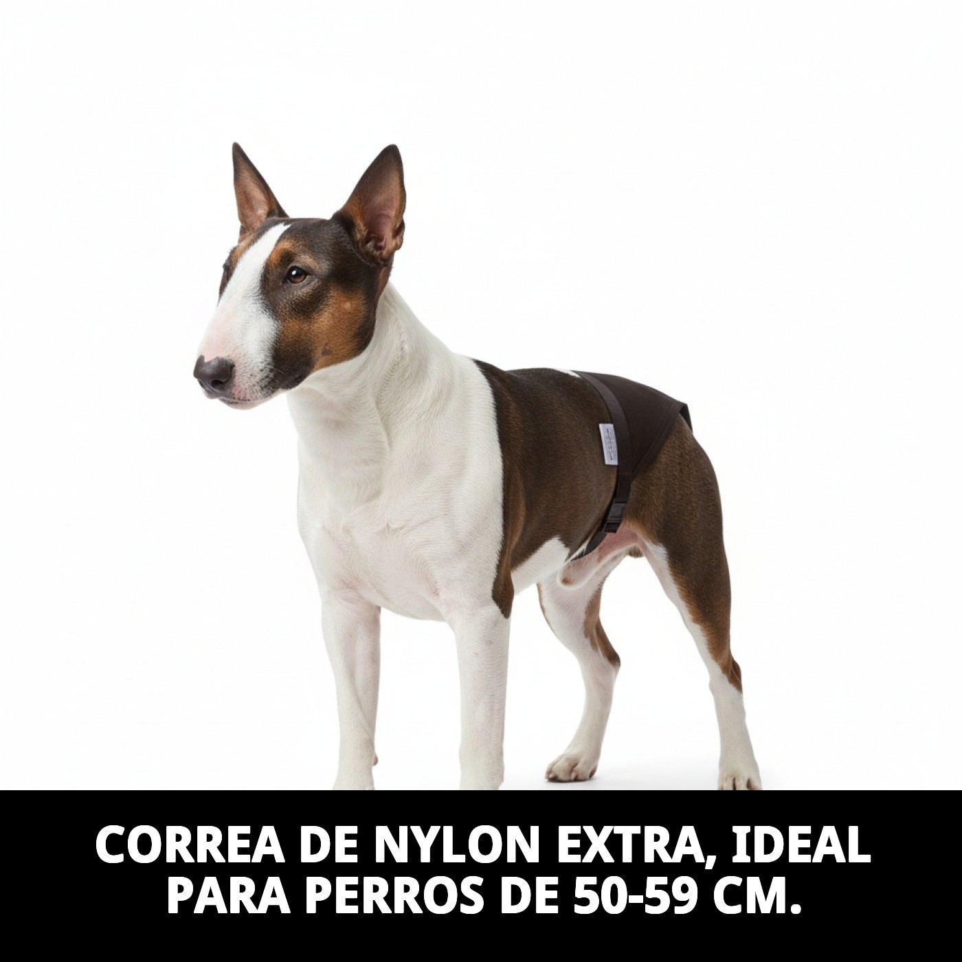 Moly Extra Nylon Slip N.4 (50–59 cm) — Foto 4