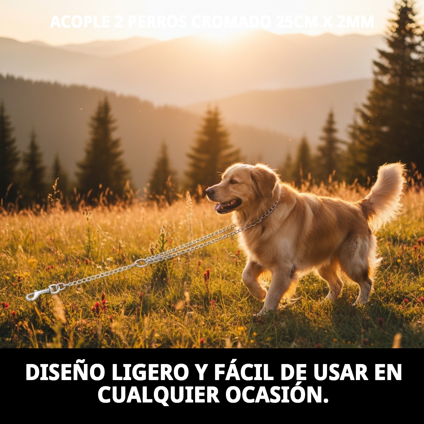 Verbindung für 2 Hunde verchromt 25cm x 2mm — Foto 7
