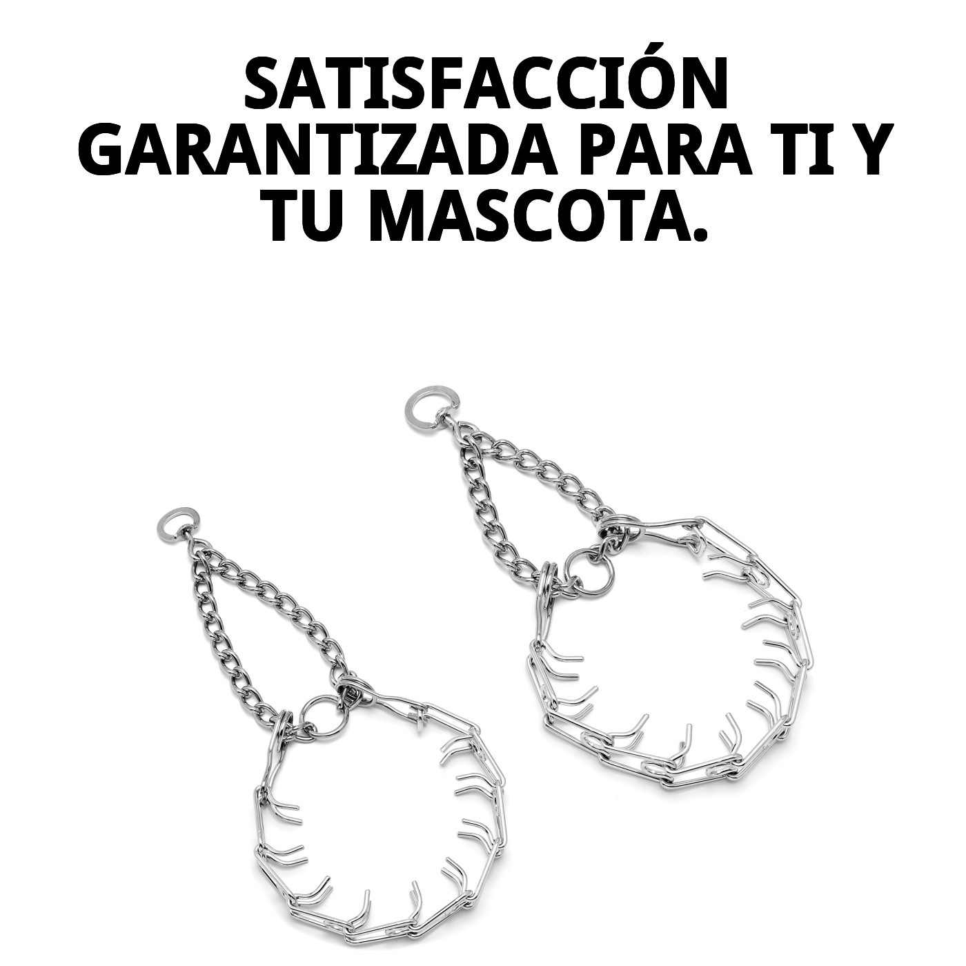 Dressur Halsband 3,8mm — Foto 8