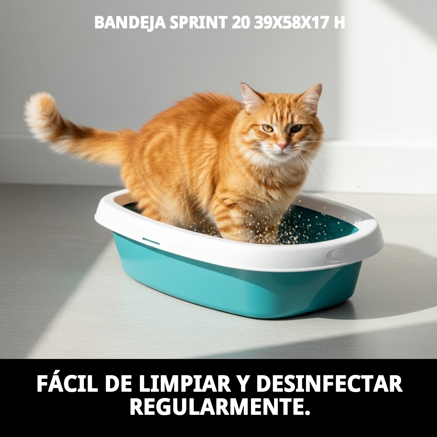 Katzentoilette 39 × 58 × 17 cm (H) – Modell Sprint 20 — Foto 6