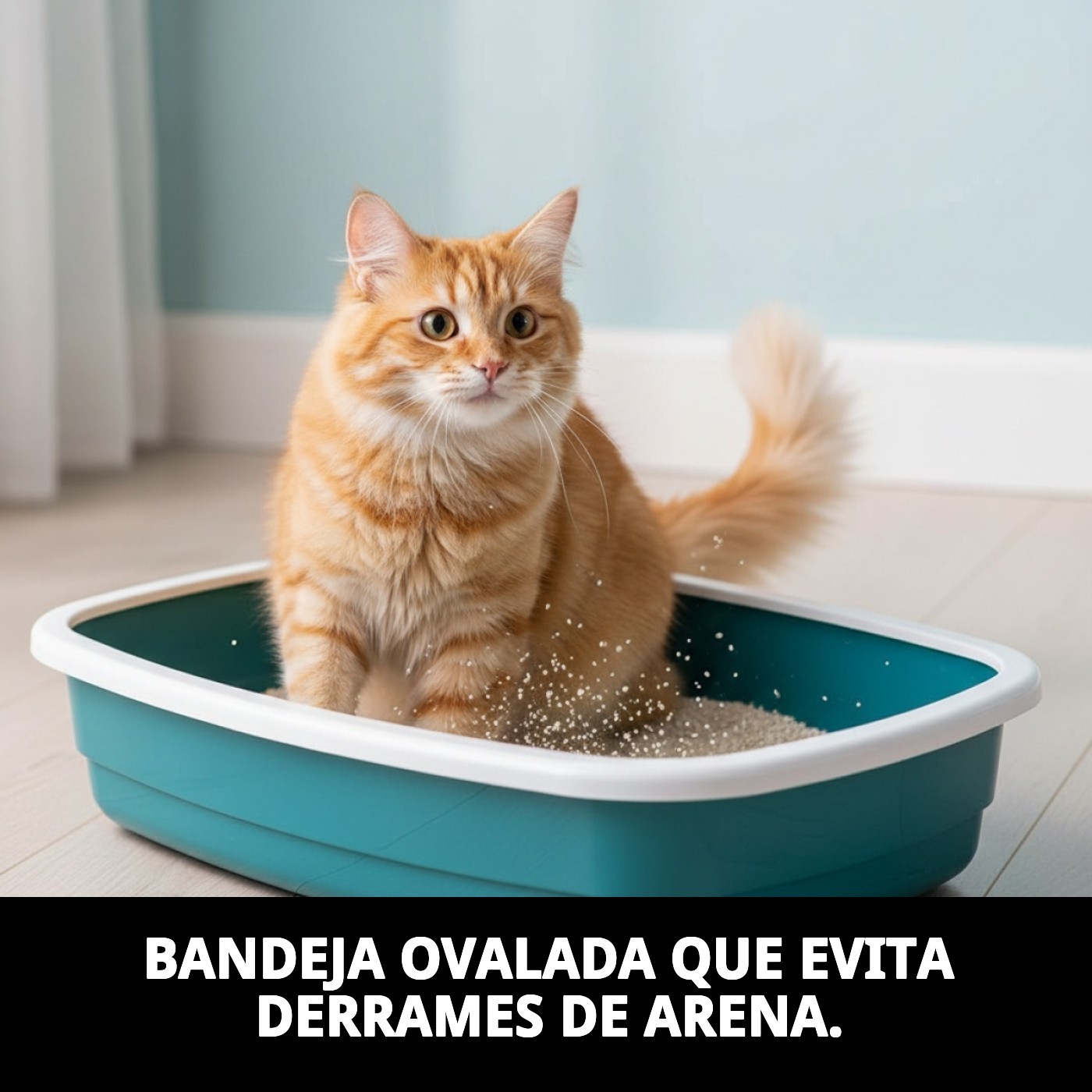 Katzentoilette 39 × 58 × 17 cm (H) – Modell Sprint 20 — Foto 9