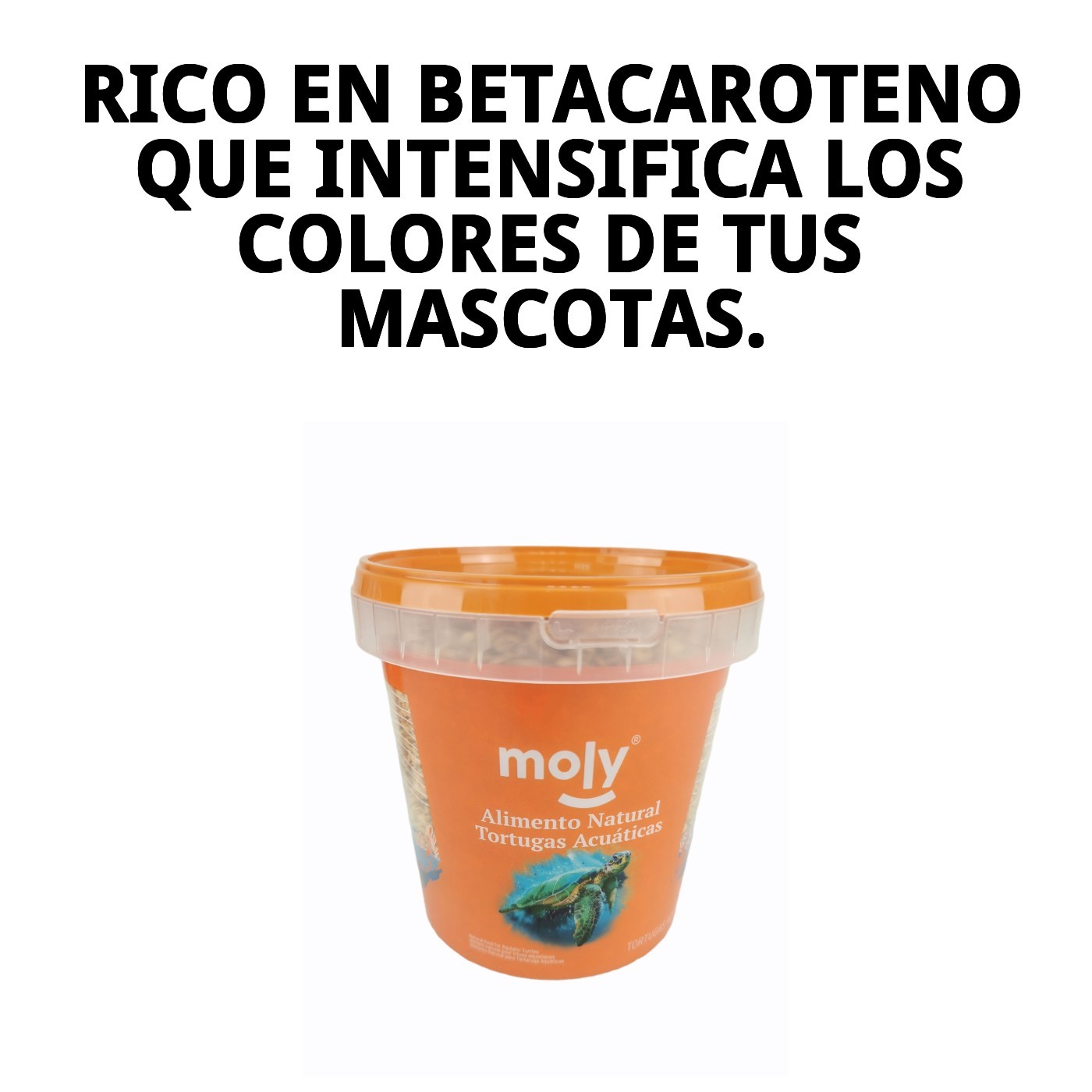 Moly Gammarus 125 g / 1180 ml — Foto 3