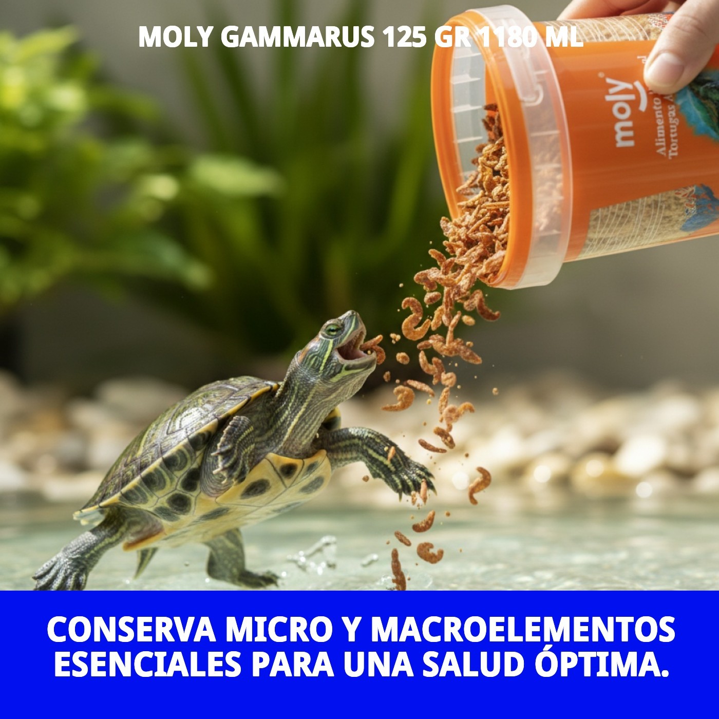 Moly Gammarus 125 g / 1180 ml — Foto 5