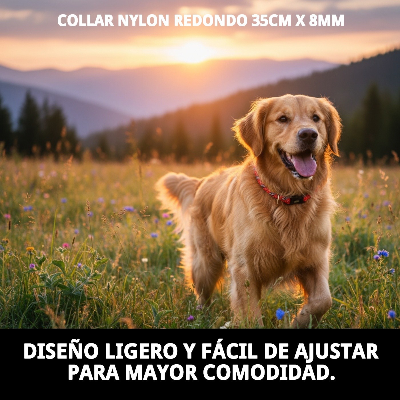 Nylon-Halsband rund 35cm x 8mm — Foto 7