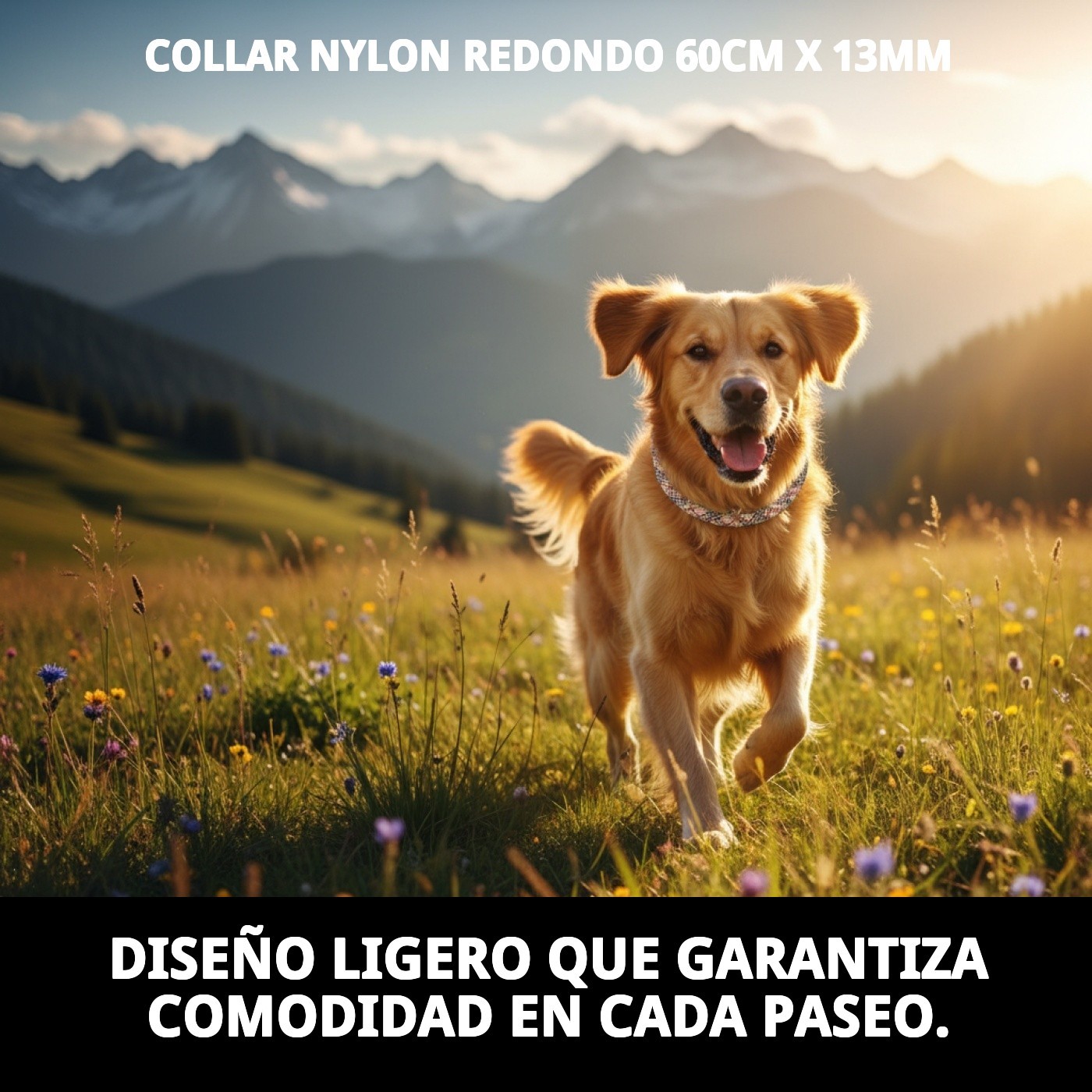 Runder Nylon-Halsband 60cm x 13mm für Tiere — Foto 9