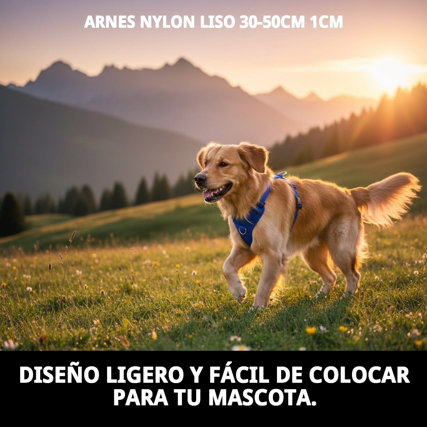 Weste aus glattem Nylon 30-50cm 1cm — Foto 7