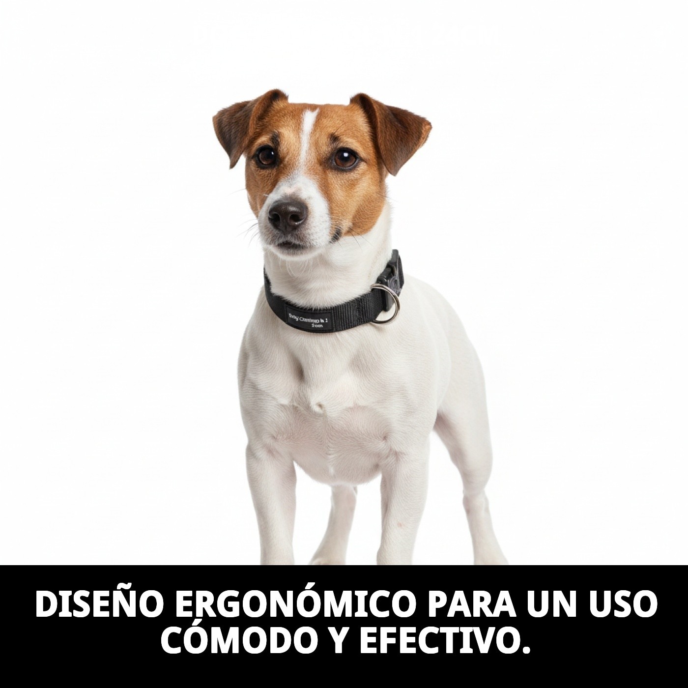 Halsband Dog Control N.1 24cm — Foto 7