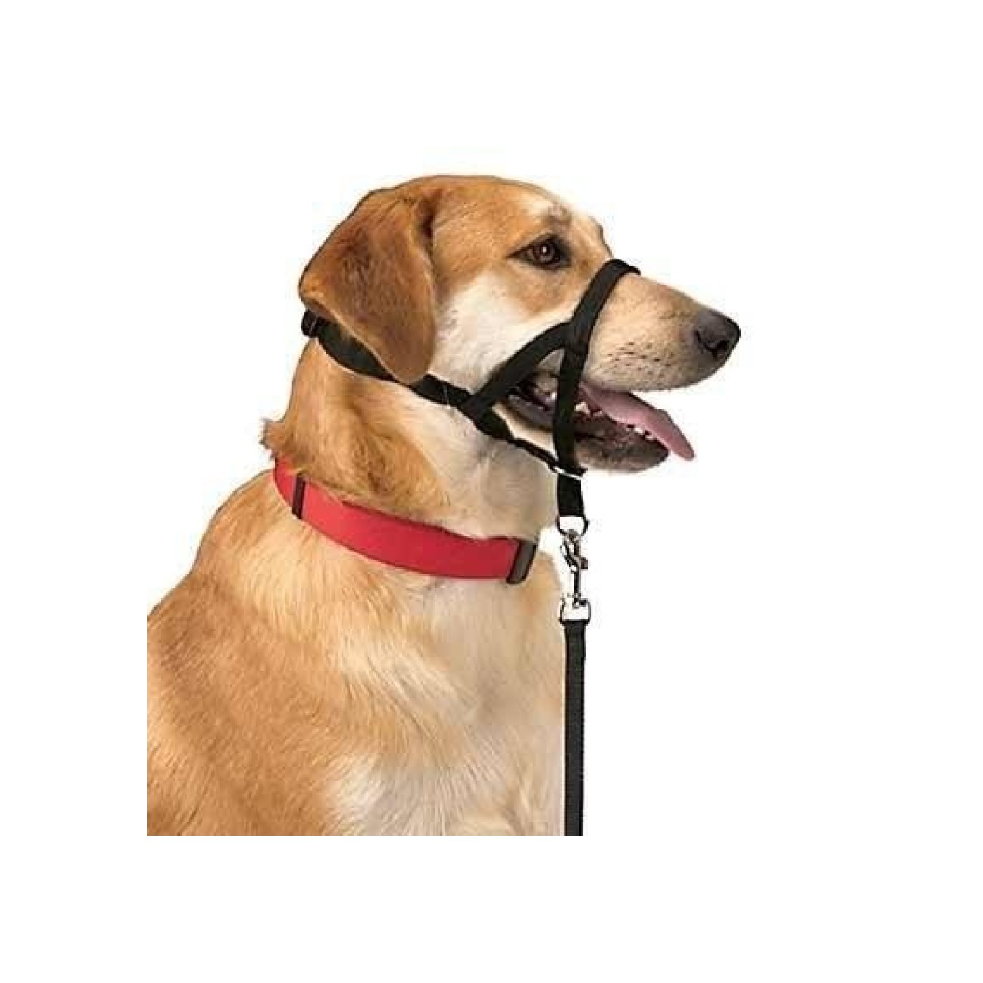 Halsband Dog Control N.4 38cm