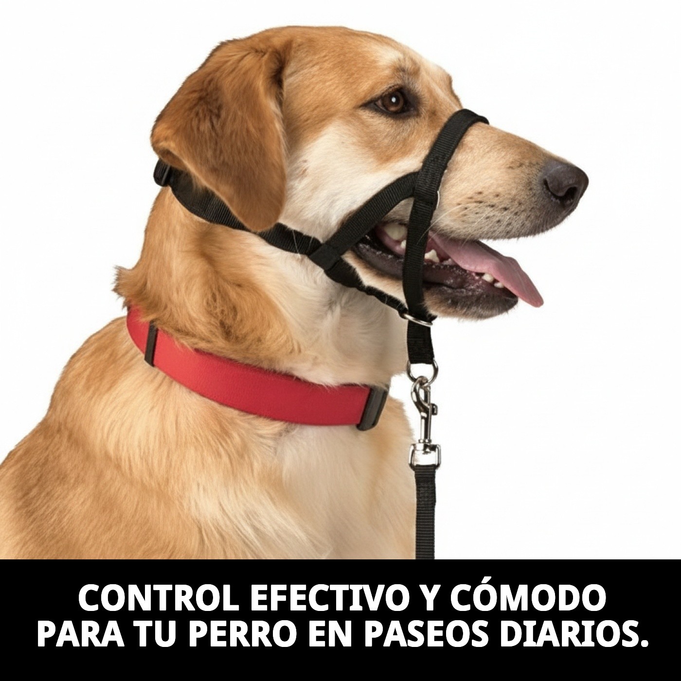 Halsband Dog Control N.4 38cm — Foto 5