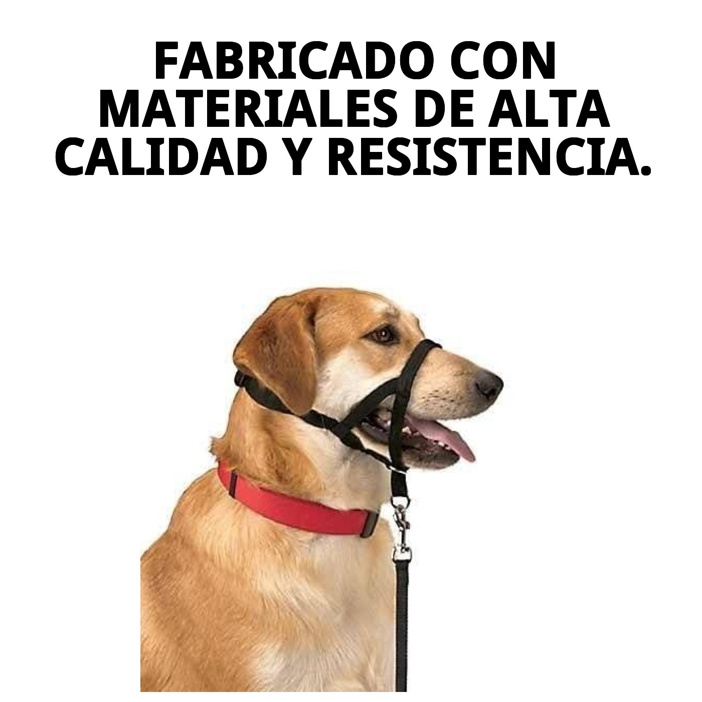Halsband Dog Control N.4 38cm — Foto 6