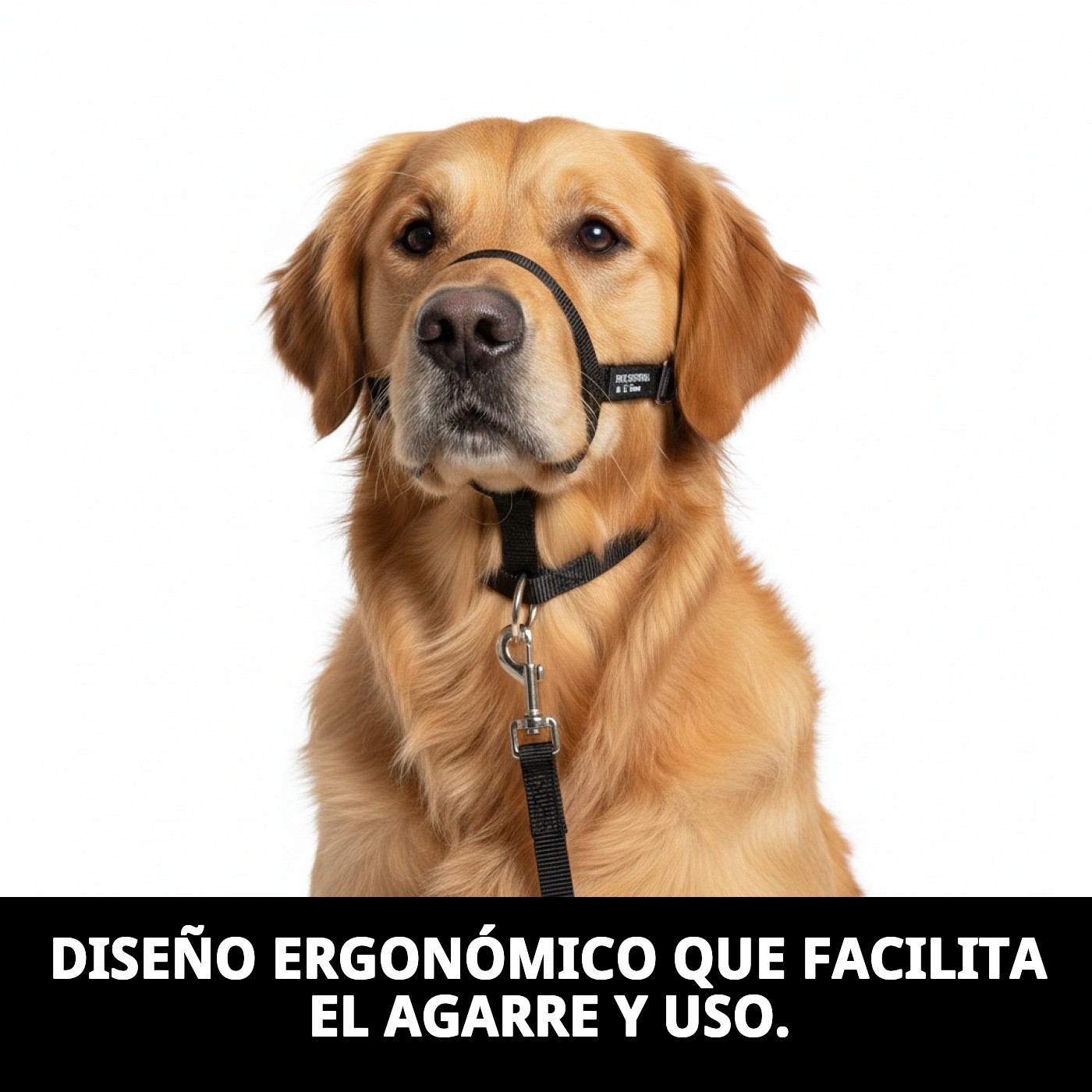 Halsband Dog Control N.4 38cm — Foto 8
