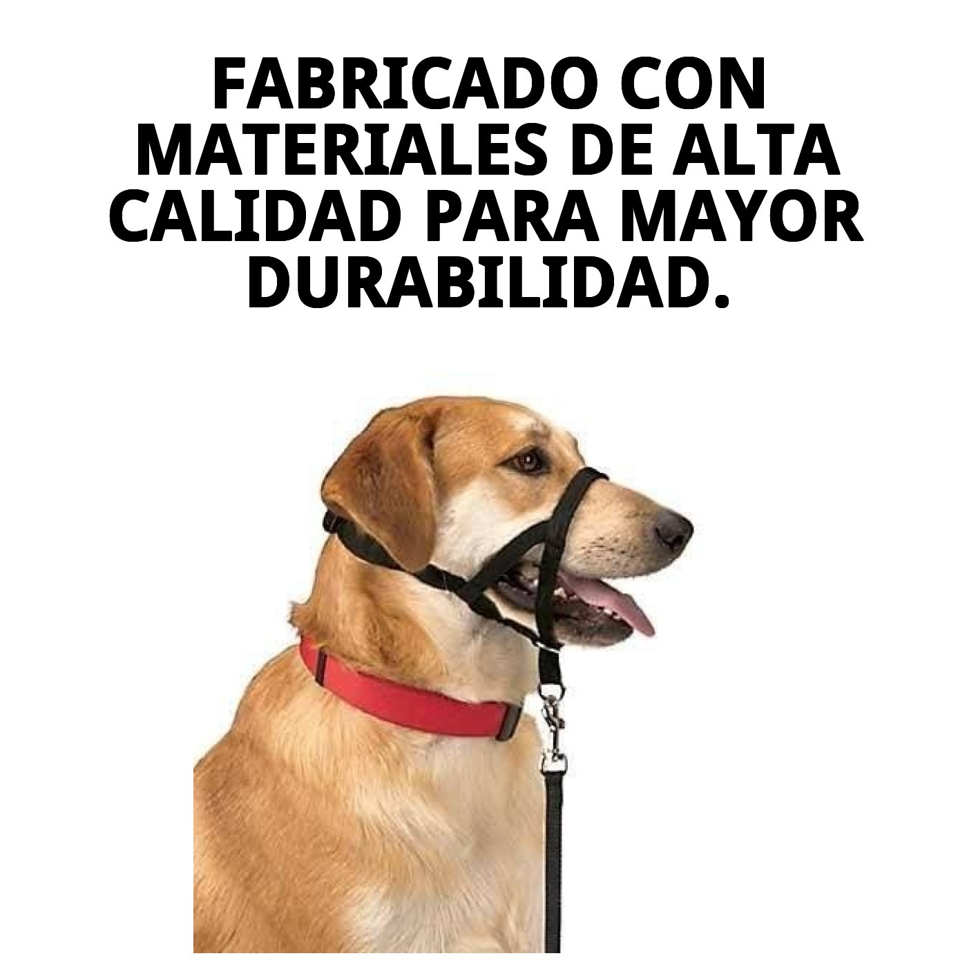 Halsband Dog Control N.5 42cm — Foto 6