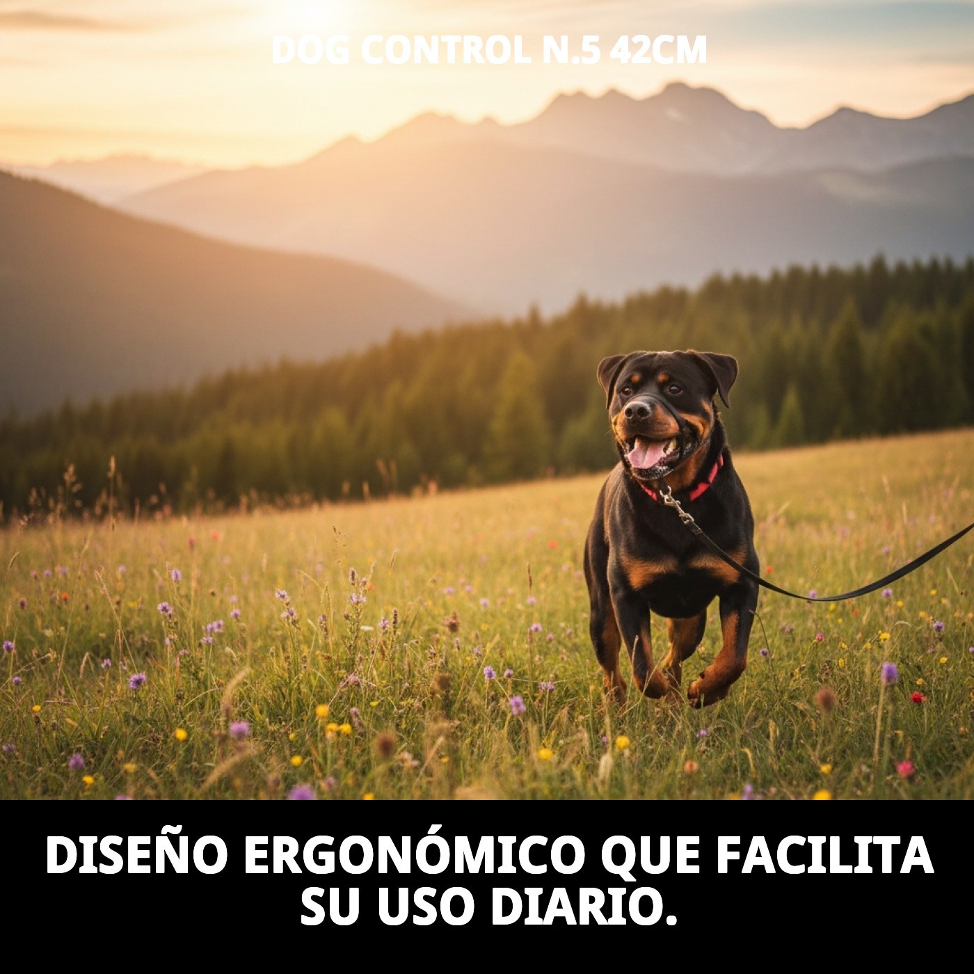 Halsband Dog Control N.5 42cm — Foto 8