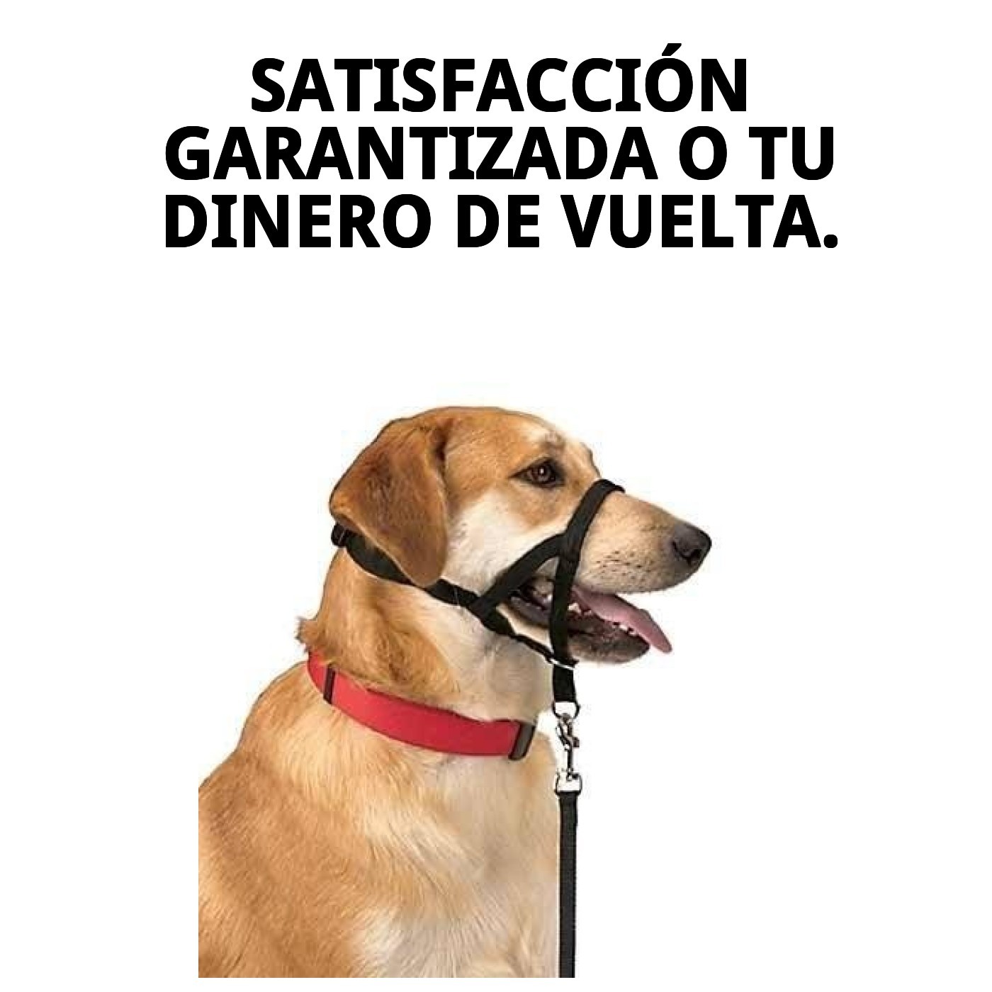 Halsband Dog Control N.5 42cm — Foto 9