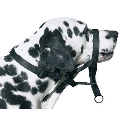 Maulkorb DOG CONTROL N.7 für Boxer 54cm — Foto 4