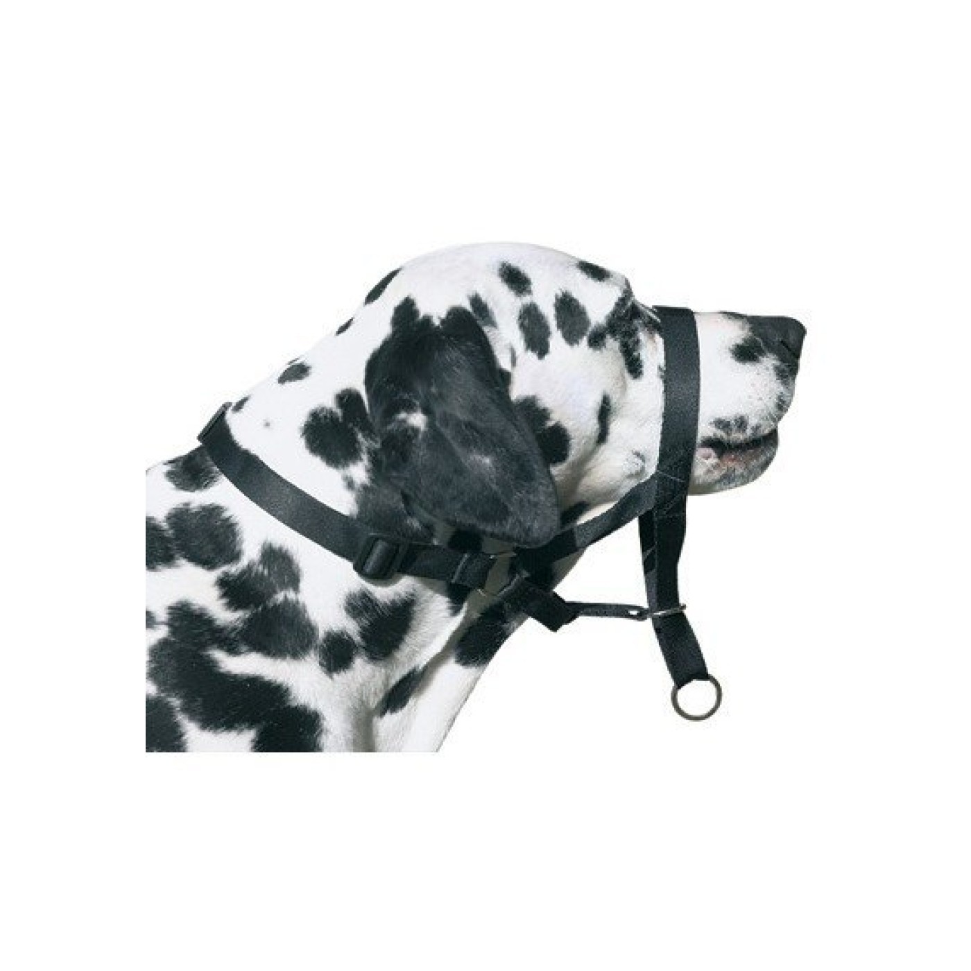 Maulkorb DOG CONTROL N.7 für Boxer 54cm