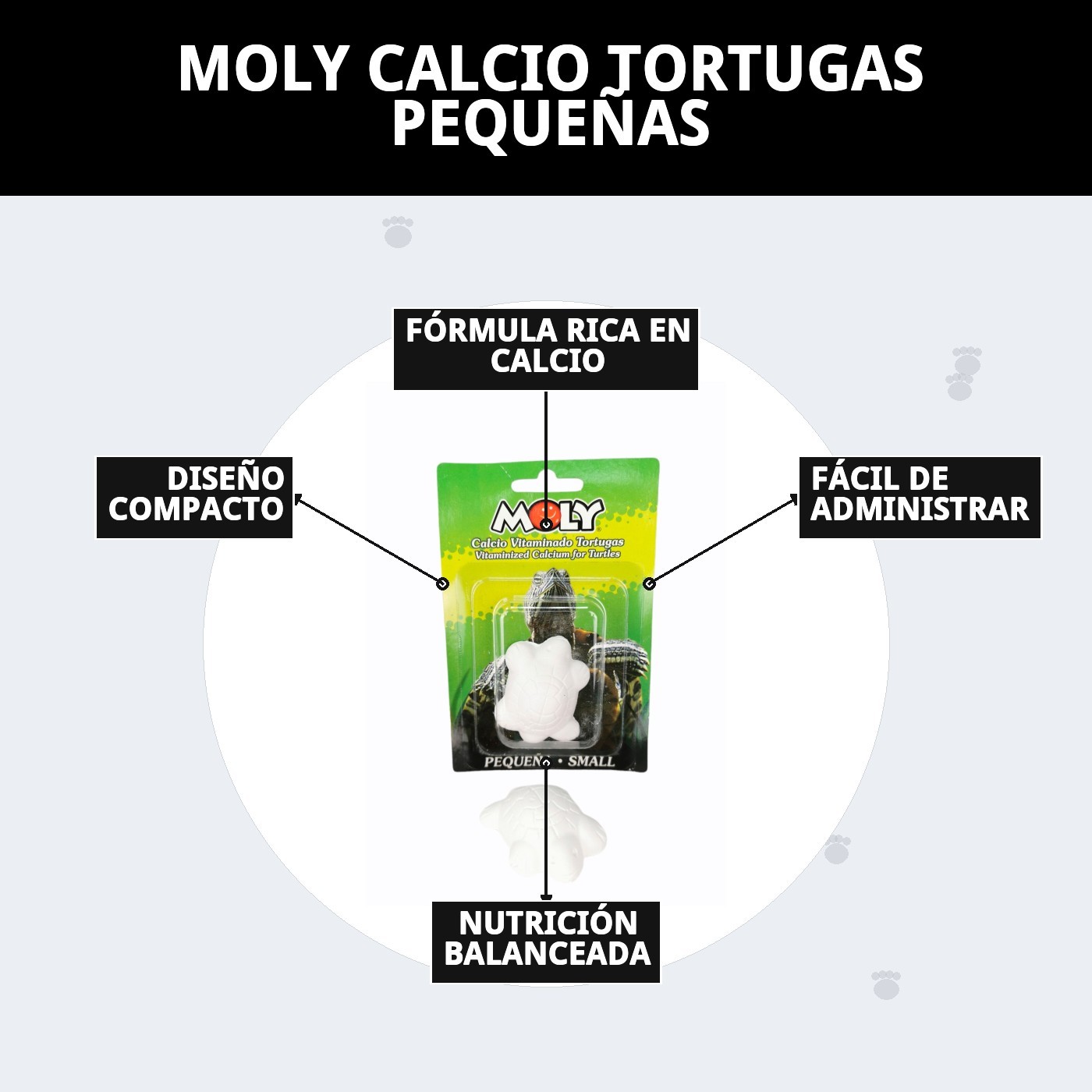 Moly Calcium für kleine Schildkröten — Foto 5