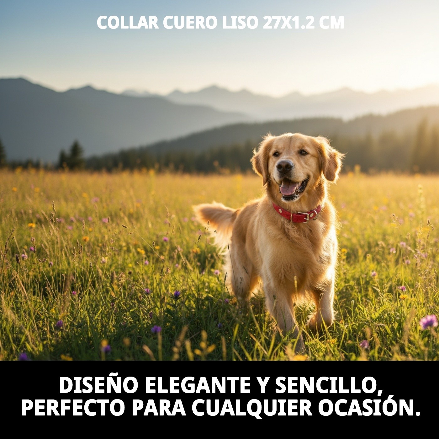 Glatter Lederhalsband 27x1.2 cm — Foto 7